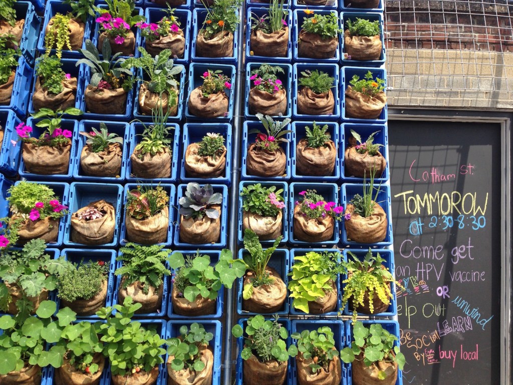 plants in brown bags (some with pink flowers) are lined up in front of a chalkboard sign that advertises HPV vaccine, buying local, and unwinding