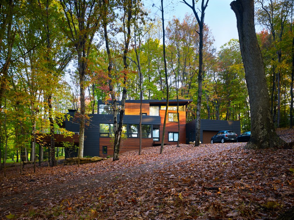 a house using both warm wood and dark black siding sits among a forest where the leaves are changing colors - fallen leaves cover the ground